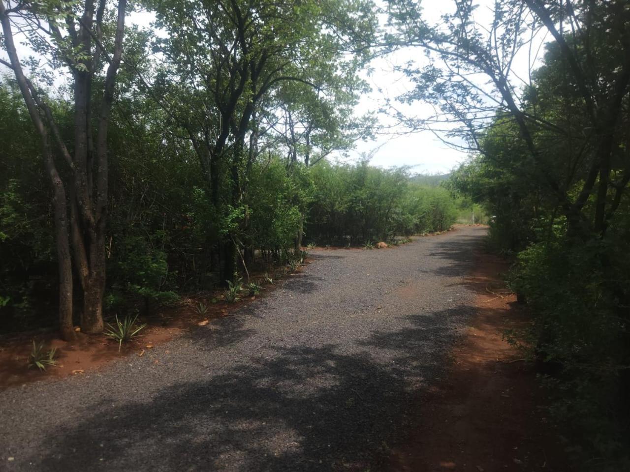 Hartbeest Bush Lodge 4 哈特比斯普特 外观 照片